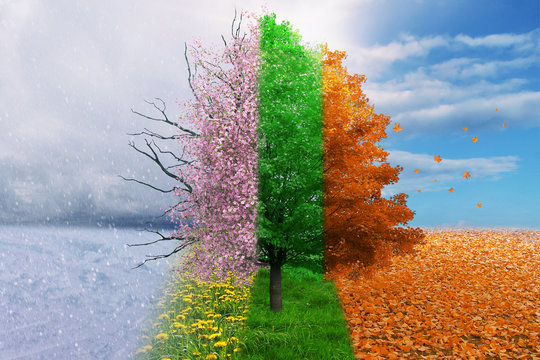 fourr seasons